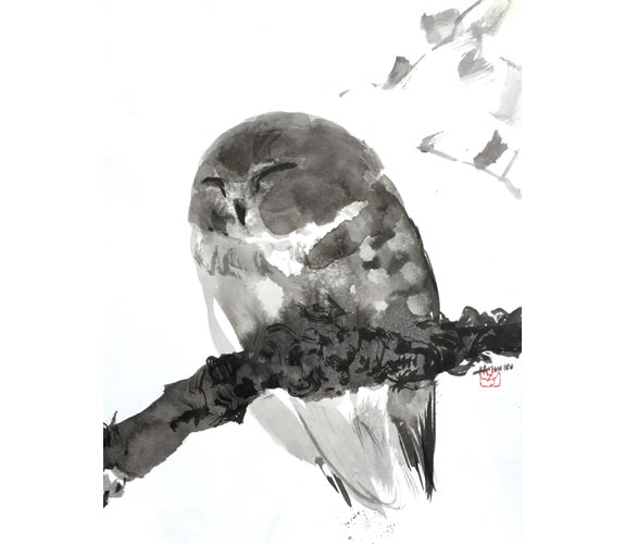 "Saw-Whet Owl" by Hiroko Seki